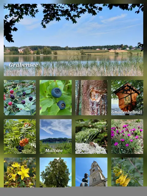 Foto: H.Bachinger