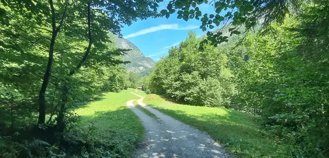 ...Variante Saalach bei Schneizelreit 
