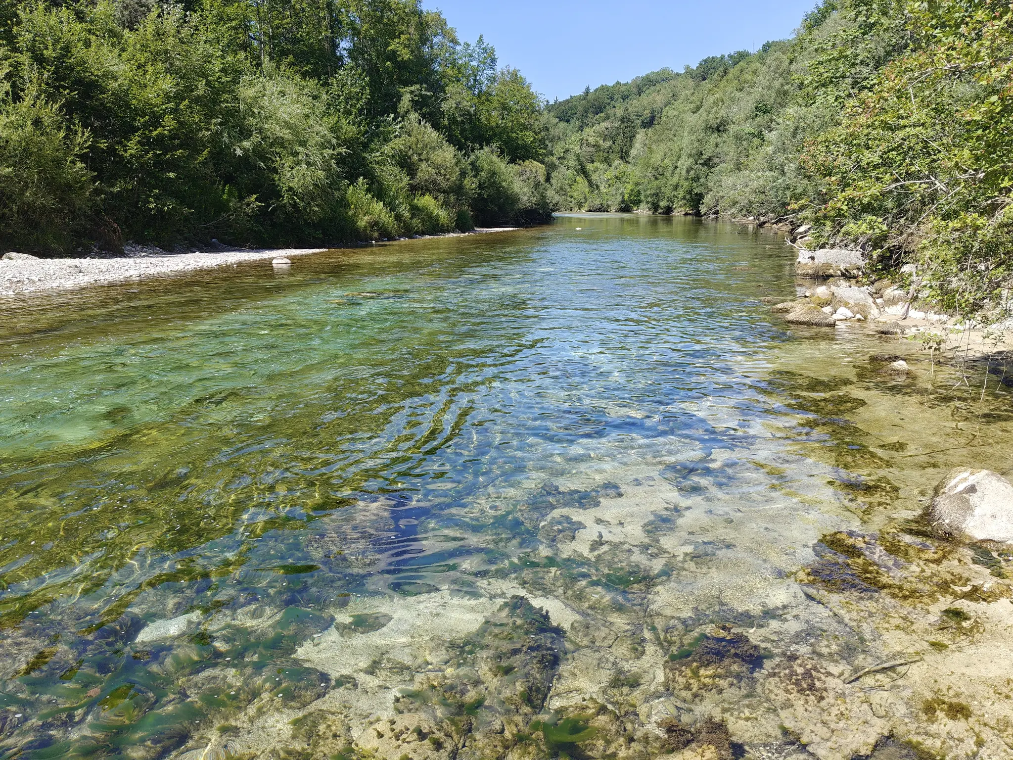 Almfluss