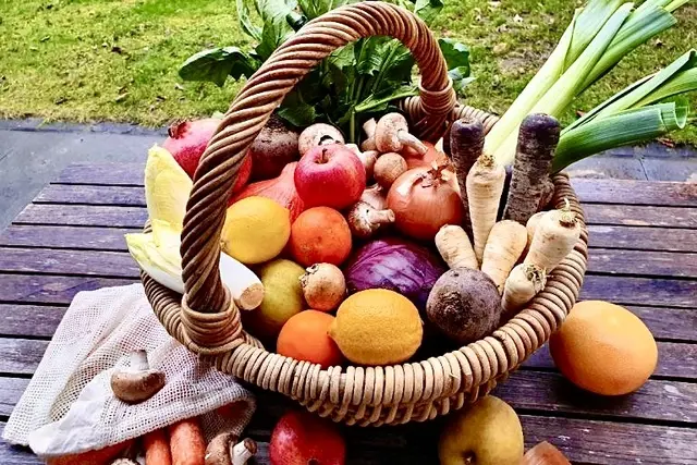 Ja, 
die Natur ist  
der Künstler „a la carte".
Ein reich gedeckter Tisch,
Rezepte über das 
ganze Jahr verteilt,
eine Duftküche, 
die die Sinne betören kann, 
einmalige visuelle Erfahrungen. 
Wachstum in den kleinsten  
Garten ~ Ecken …
Wir gehören zusammen,
der Mensch &amp; die Natur,
die Natur &amp; der Mensch!
„SIE“, die sich gegenseitig stützen 
sowohl auch behüten können,
wenn der Mensch es so betrachtet, 
wie du, wir &amp;  ihr ❣️ | Foto: Bild: Garten Freunde