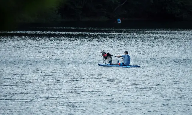 Paddeln mit Hund am See