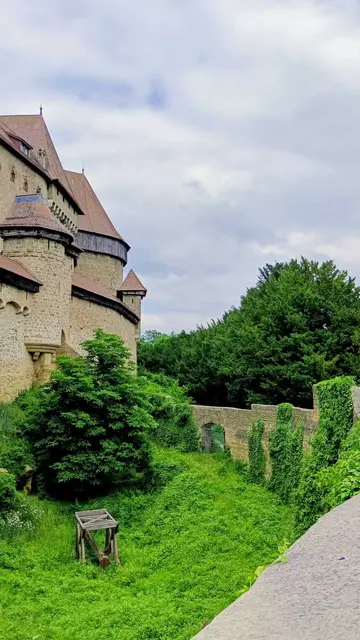 Im alten Burggraben von Kreuzenstein scheint die Zeit langsamer zu vergehen. Zwischen Stein und Blattwerk bewahrt die Natur die Spuren vergangener Jahrhunderte. | Foto: Rebekka Sadiki-Peckary