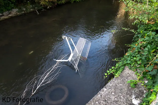Nach den Autoreifen(Habe euch schon ein Bild davon gezeigt) landete jetzt ein Einkaufswagen im Kalten Gang. Werde am Montag den Bauhof verständigen damit sie den Einkaufswagen und die Reifen herausholen....