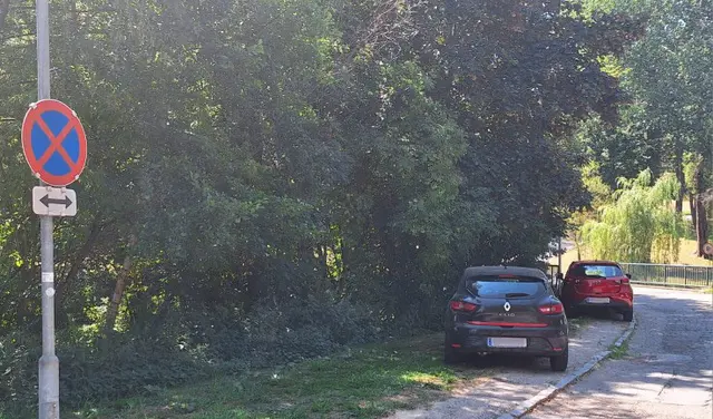 Fast täglich dasselbe Bild beim Waldbad Groß Siegharts! Seit wann darf man am Gehsteig parken? Das Hnweisschild ist auch mehr als eindeutig. | Foto: privat