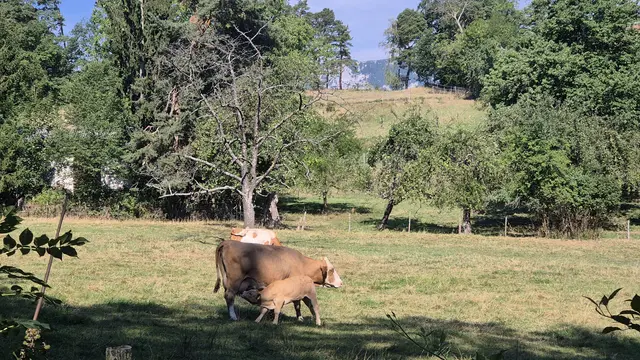 Reichenau an der Rax