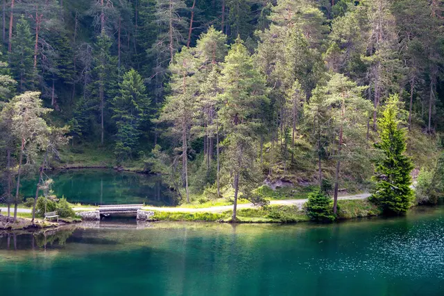 Fernsteinsee, Rundwanderweg, kleine Fußgängerbrücke, Bezirk Imst, Tirole 