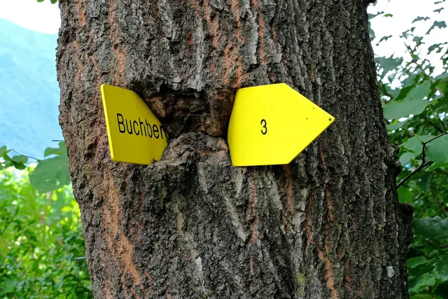 Eingewachsenes Wanderschild bei Spitz an der Donau.