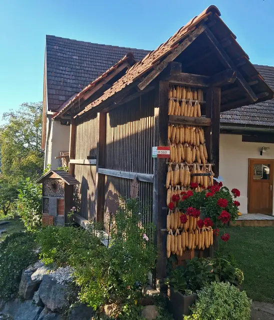 Wer kennt sie noch die alte gute Woazharpfe wie hier in Seggauberg bei Leibnitz ?
