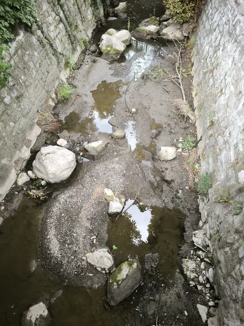 Der örtliche Veitscherbach in Traboch ist durch die Hitze nahezu ausgetrocknet! Ein trauriger Anblick.