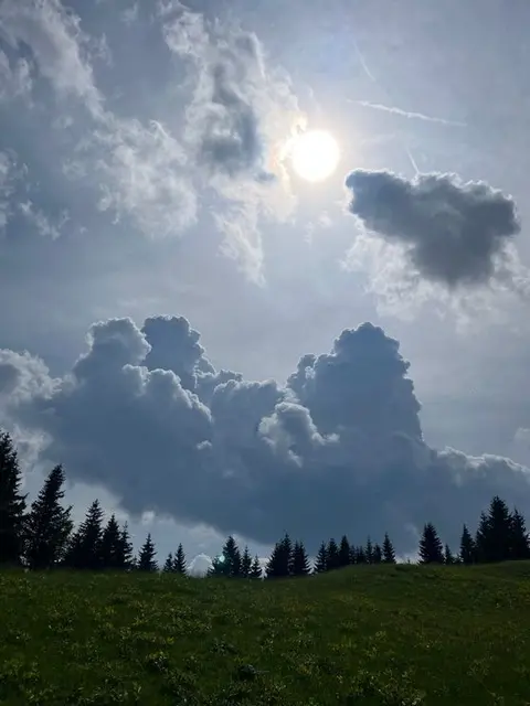 Am Tag als der REGEN kam, lang ersehnt-heiß erfleht-auf die glühenden Felder, auf die durstigen Wälder ....