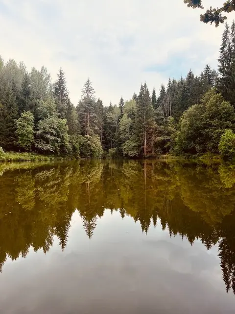 Am Villacher Stadtrand, gleich in meiner Nähe, liegt etwas im Wald verborgen der EGGERTEICH -
der nun nach dem heftigen Regen heute "Erdfarbig" erscheint und wenn man das ganze Foto dreht, dann, oh Wunder, schauts optisch ganz gleich aus, wegen der Spiegelung!