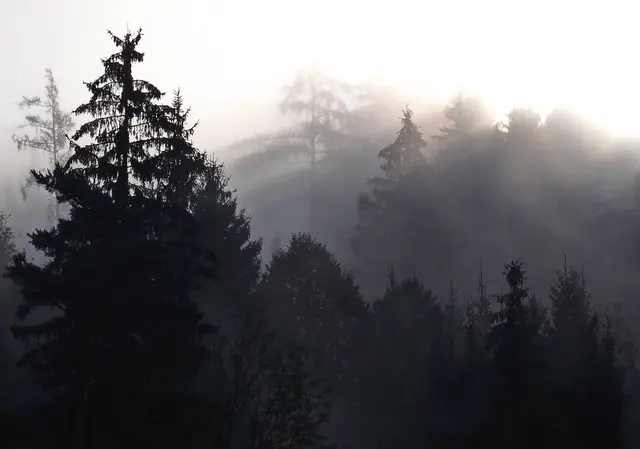 Nach jedem Regen folgt auch wieder Sonnenschein! Einen schönen Sonntag wünsche ich euch.