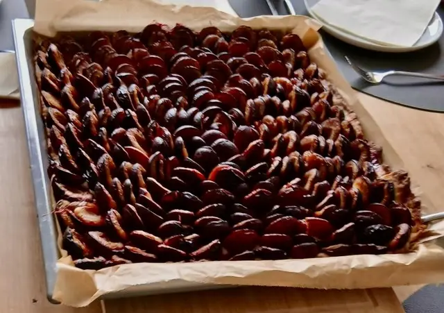 War heute zur Jause,
eine liebe Freundin besuchen.
Da gab es einen leckeren 
Zwetschgen ~ Kuchen … 
Sie war so lieb &amp; nett,
servierte so gleich, 
ein riesiges Tablett … 🤭

Die Freude, sie war groß,
denn der Kuchen war famos
&amp; so gab’s in ihrem Haus
einen echten „Gaumenschmaus“.

Die Zwetschgen waren süß &amp; saftig,
der Teig schön dünn ~ wahrhaftig,
zur Krönung dann zum Schluss,
dazu einen Kaffee´, ja ~ der muss ☕️

Das Schlagober‘s 
frisch geschlagen
ach, freute sich der Magen …
Viel zu schnell vergingen 
wie immer diese Stunden …  

Ein herzliches Dankeschön 
bis zu den nächsten tratschen Runde … 🤗 🫶 🤭 | Foto: Bild: privat 
