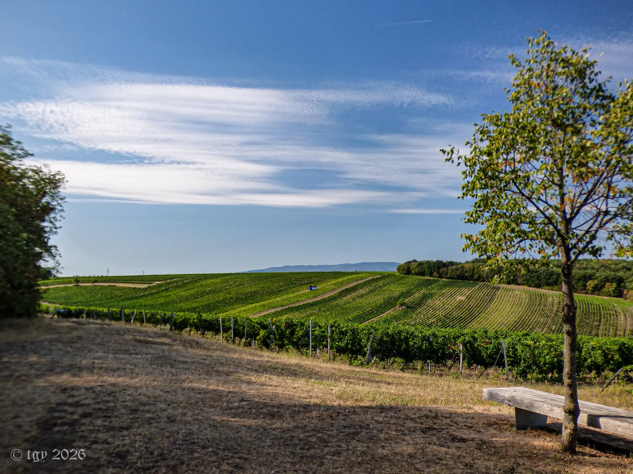 Neben der Urbanikapelle, zwischen Kleinwarasdorf und Horitschon