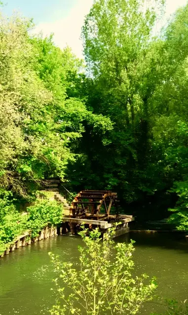 
Am stillen Teich, im Schilf &amp;  Gras, 
dreht sich das Rad aus altem Holz, 
es fängt den Strahl, 
es schöpft das Nass,
ganz leise, treu &amp; voller Stolz.
Die Tropfen glitzern 
noch in der Sonn',
ein stetes Plätschern, 
Tag für Tag,
sie singen eine Melod'on,
sanft der Wasser ~
Oberschläge schlag' …
Der Wind streicht 
durch die Bäume seicht,
die Zeit verweilt am grünen Rand,
ein kleines Wunder an diesem Teich,
erschaffen von der Natur ~ Hand. 

********************* 
Ein entspannten Abend 
euch Allen … 🍃🍹🥗 ✨🌛 | Foto: Bild: privat 