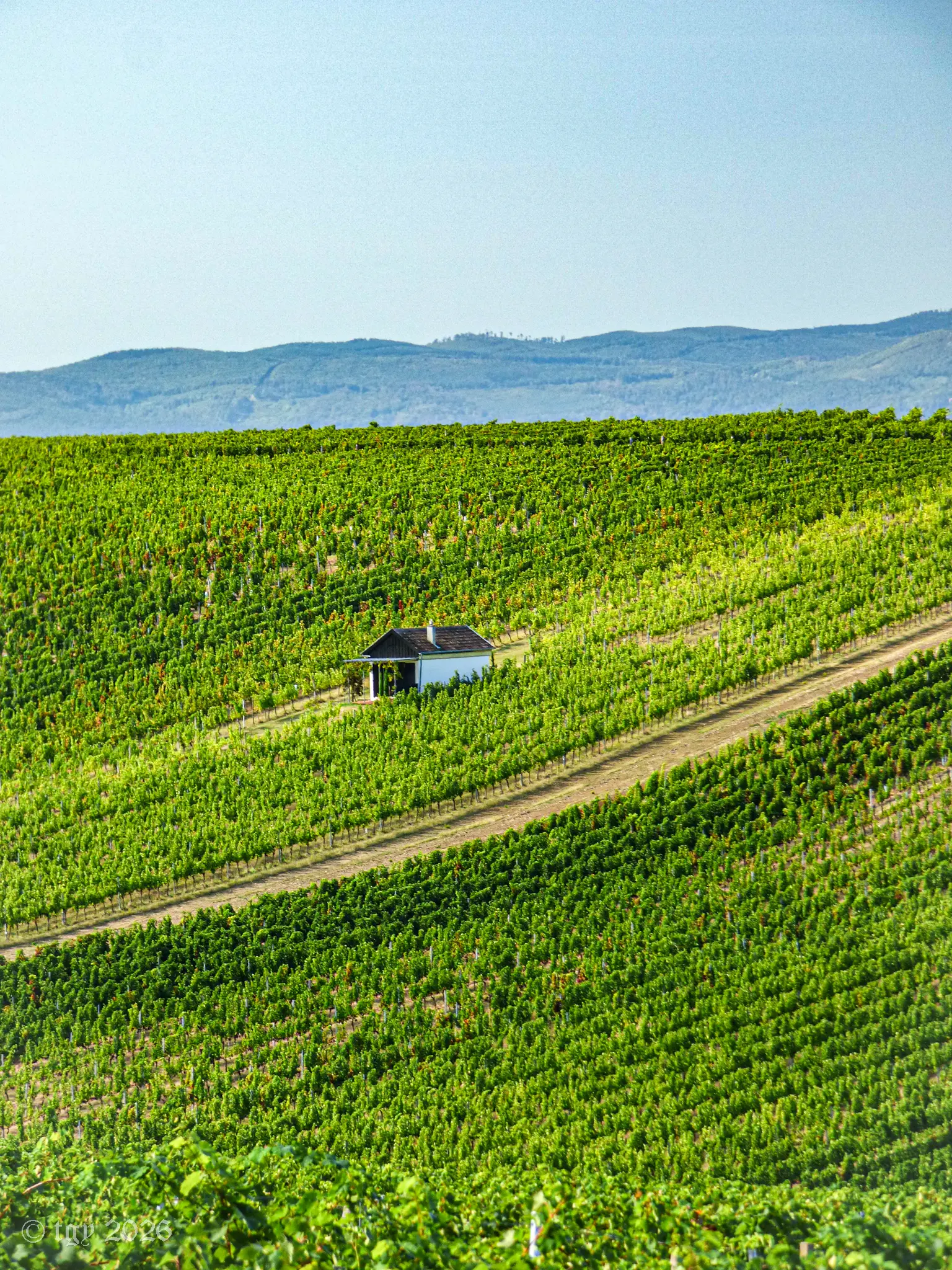 Burgenland, was sonst?