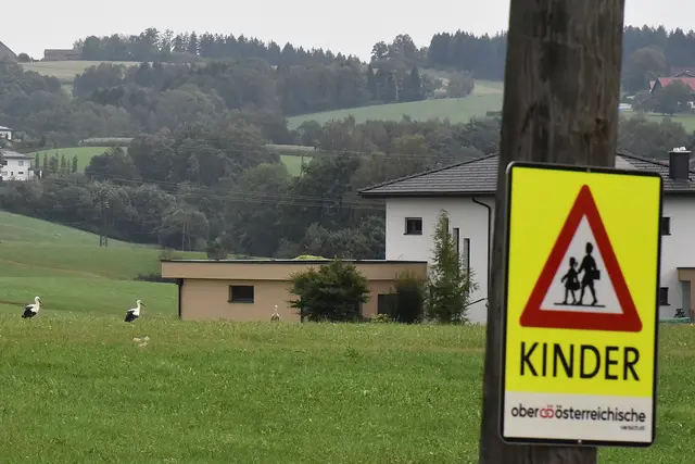Gibt es einen Zusammenhang zwischen Störchen und Kinder?! | Foto: Alois Braid