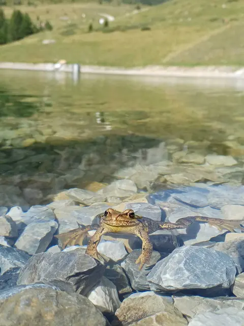 Dieser Schnappschuss ist meiner Enkelin Sophia bei einer Wanderung am Speiereck gelungen! 