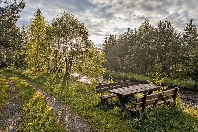 Den ersten Schritt zu tun ist schwieriger,
als immer nur das letzte Wort zu haben.
Foto: Glaser 
