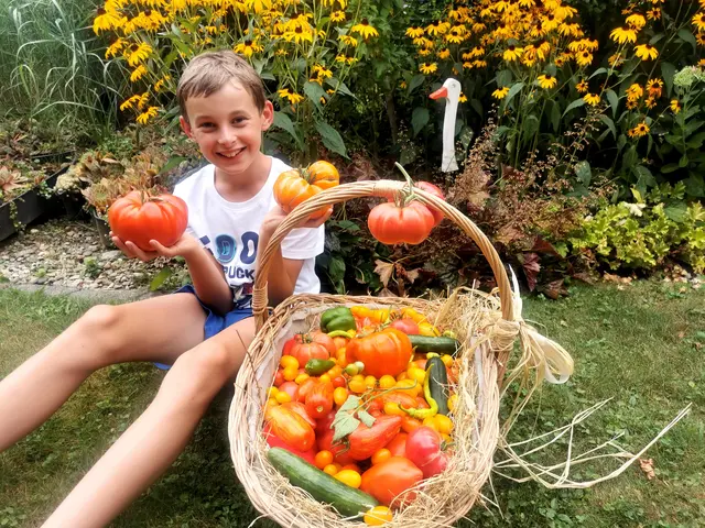 Paul im Paradeis-Paradies! 🍅 