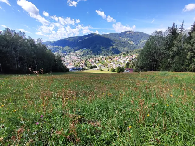 Mürzzuschlag 