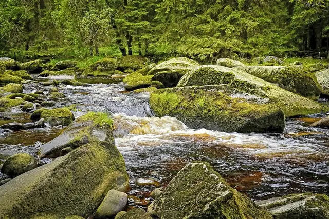 Nichts ist kostbarer wie Freiheit,
nichts ist wertvoller wie Vertrauen!
Foto: Glaser 