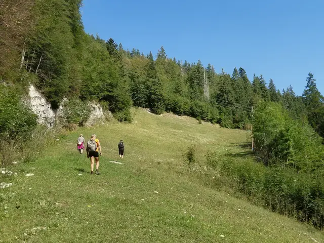 HIER GEHT'S zu unserer Wanderung | Foto: H.Bachinger
