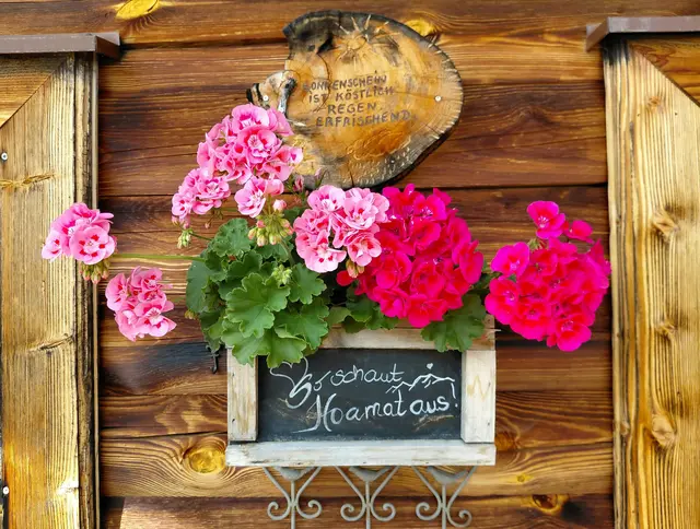 Foto: H.Bachinger