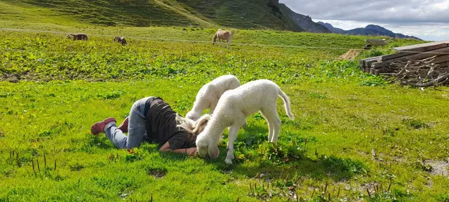 Dieses Foto stammt von Roswitha Zobl. Es zeigt ihre Enkelin beim Schmusen mit zwei Schäfchen auf der Gappenfeldalpe in Tannheim. | Foto: Zobl