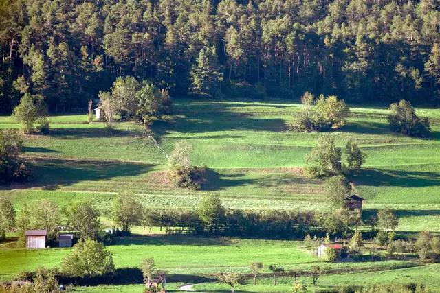 Stanzer Leitn im Licht der untergehenden Sonne. | Foto: © by Ing. Günter Kramarcsik