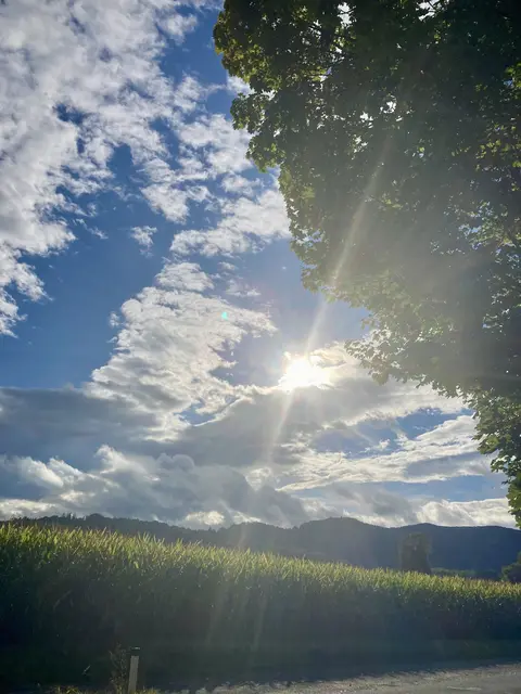Die Sonne sinkt im Westen … 
Ein müder Tag verlischt. 
In den Baum ~ Geästen, 
der Abend ~ Wind erfrischt … 

Ich wünsche euch Allen 
die Ruhe &amp; die Kraft, 
wie dieser wunderschöne 
Abendhimmel ausstrahlt … | Foto: Bild: privat 