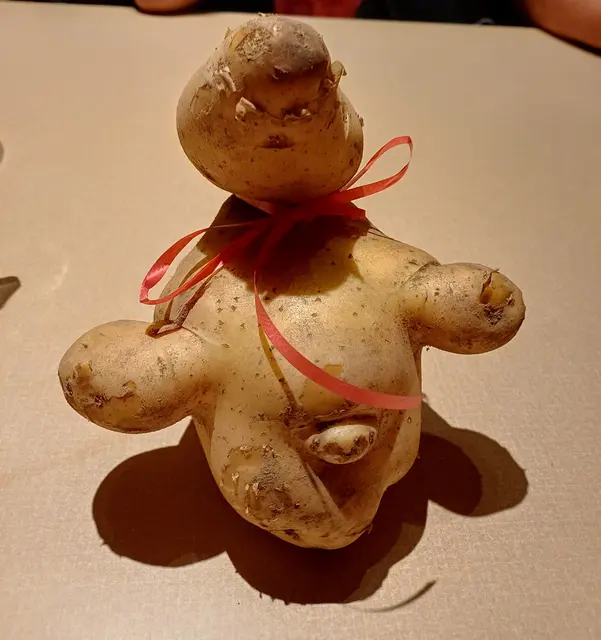 Dieses witzige Erdapfel Männchen wog ganze 1,07kg.