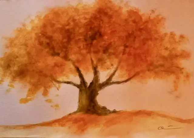 „Indian Summer“
 
Noch immer
wohltuende Wärme,
strahlend blauer Himmel,
wolkenlos …
 
 Wenngleich schon
 gelb, braun gefärbte’s Laub
 unter den Füssen knirscht …
 
 Indian Summer
 zeigt uns heut strahlend
 sein September Gesicht … 
 
 Äcker beerntet,
 Erde jetzt schwarz,
 Reifendes Obst
 verführt unsere Sinne …
 
 Spinnennetze
 gefangen in Hecken,
 feucht &amp; glänzend,
 Tautopfen behangen …
 
 Frischer werdende, 
 auflebende Winde,
 kündigen die nahende
 Herbstzeit an … 🍂 

******** 
Euch Allen einen 
unterhaltsamen Abend  … 🫶🍷📗 | Foto: Bild: privat 