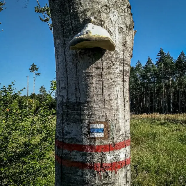 Herbstzeit ist Wanderzeit!
Foto: Glaser 