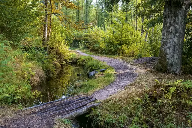 Bemüh dich nicht um Menschen, 
denen du ohnedies egal bist.
Foto: Glaser 