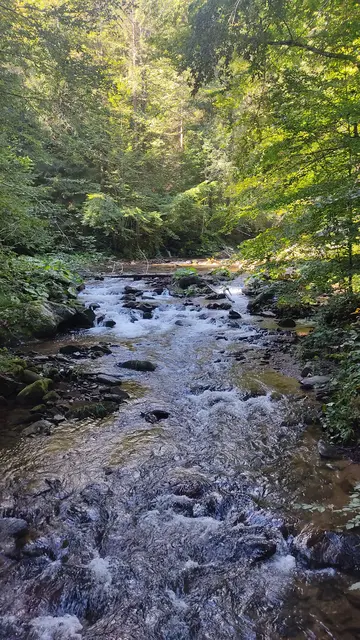 ...erreichte unsere "Schwarze Sulm" welche auf der Koralpe entspringt und sich durch sehr sauberes Wasser, zum Teil recht tiefe Schluchten und weitgehend unberührte Ufer auszeichnet. Außerdem beheimatet sie seltene Tiere wie den Steinkrebs, als auch den Feuersalamander. In aller Munde ist sie auch bezüglich des geplanten Kraftwerkbaues, welches mittlerweile entgültig vom Tisch zu sein scheint. So am Rande erwähnt liegt ein großer Teil dieser unberührten Flusslandschaft im Natura 2000 Gebiet. Unsere Schwarze Sulm ist einfach ein Natur Juwel, welches schützenswert, einmalig und wunderschön ist. Die Freude über den 2. Platz ist groß und absolut gerechtfertigt...
 | Foto: Günther Koch