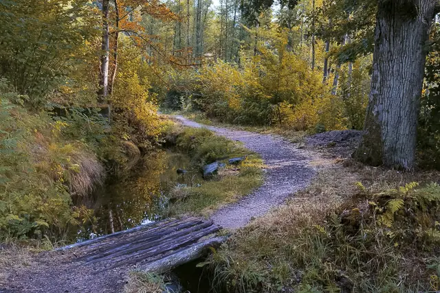 So schnell kann's gehen, kommt der Herbst
Fotografieren ist wunderbar, man lernt nie aus!
Foto: Glaser 