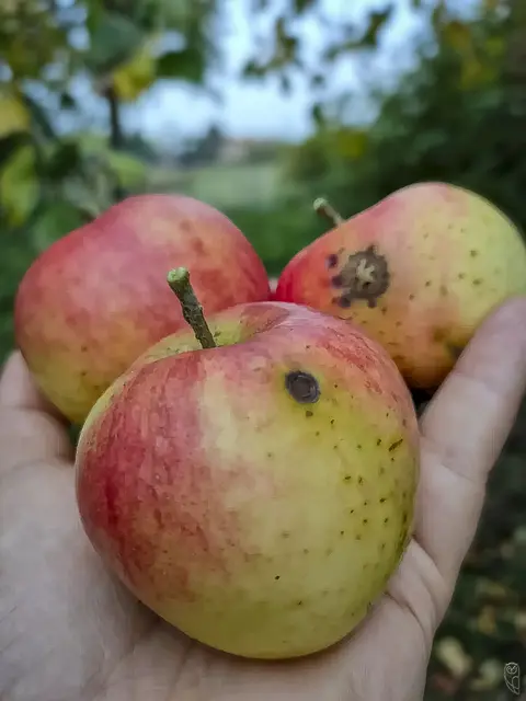 Bevor du jemanden aufgibst, 
denke nach warum du ihn gehalten hast.
Foto: Glaser 