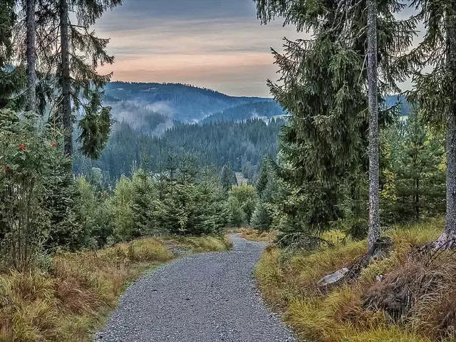 "Guten Morgen" aus dem Mühlviertel
Foto: Glaser 