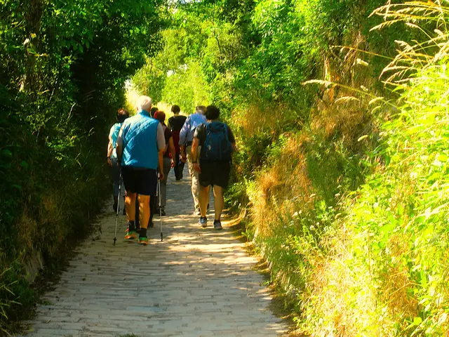 Vormerken!! Vormerken! Vormerken! ALLES GRATIS!
Anlässlich zum jährlichen Weinwandertag am Fuße des Bisamberg hat sich Robin der Künstler etwas besonderes einfallen lassen und ladet zur volksnahen Frischluft - Vernissage ein!!
Gehe die Wanderroute Bisamberg-Strebersdorf, die zum Heurigen Schilling führt, 50 Meter weiter geht es in die Kleinhausgasse (Fußgängerzone) zum 21-Kunsthaus-23, da gibt es eine Kunst-Vernissage für JUNG UND ALT, mit Happy Hour, Getränke und Snacks, sowie Weinverkostung , alles GRATIS solange der Vorrat reicht!!
Etwas ganz besonderes am
Sonntag 27. September 2026 , 17:00 - 19:00 Uhr,
21-Kunsthaus-23, Kleinhausgasse 21, 1210 Wien
Der Kunstschaffende präsentiert zeitgenössische Kunst!
Es gibt die Rätselbilder, prickelnde Bilder die mit Sekt gefertigt wurden,
sowie auch Gemälde die in "Neofließ-Realismus" entstanden sind und vieles mehr. Der Erfinder des "Neofließ-Realismus" ist vor Ort.
Man muss nicht wandern so kann man auch nur so die Show besuchen.
Komm vorbei mit Familie und Freunden zum gesellschaftlichen Ereignis und sie dabei, bei EINTRITT FREI!
Alles nur bei Schönwetter!!