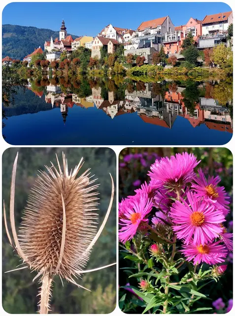 Im Volkshauspark gibt's viel Herbstliches zu bestaunen. 
Auch eröffnet " Trend " am Freitag den 2. Okt. die neue Gastro im Volkshaus. Ein Frohnleiten Besuch zahlt sich immer aus. 🌻😊