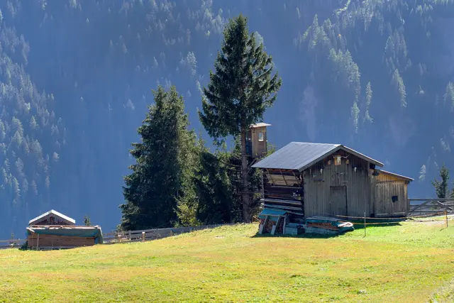 Dawin, Grins, Strengen, Landeck, Tirol, Hochstand, Pillen