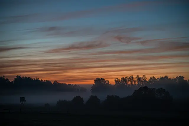 Blick in den Truppenübungsplatz Allentsteig - gesehen zwischen Hör- und Germanns um 6:15 Uhr. 