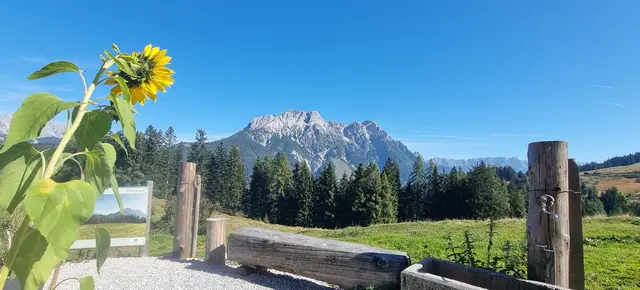 ...Tödlingalm
