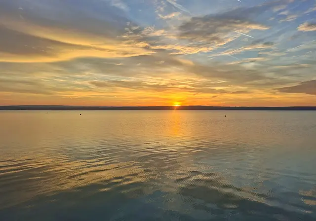 Illmitz am See
@renatahfotografie