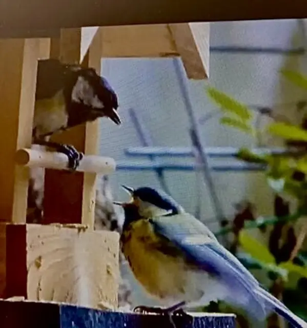 Schar Display Mit Brille wäre das nicht passiert ! 🤓 ~ genießt euren Abend 🫶