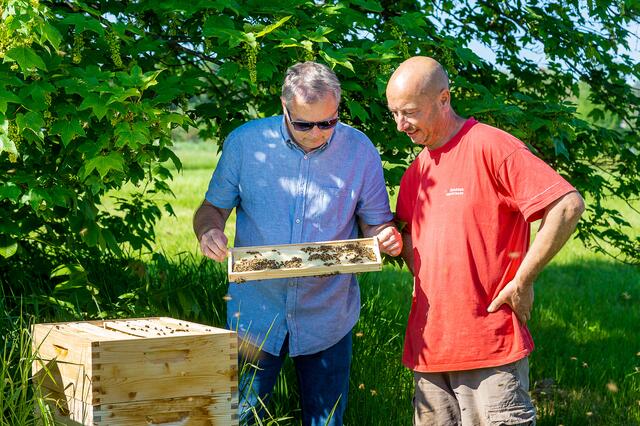 Bezirksvorsteher Josef Schuster und Landwirt Martin Gaßner beim Begutachten der Bienenstöcke am Meranhof | Foto: Jörgler