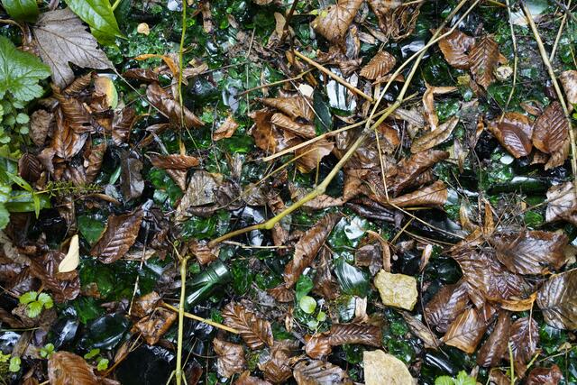 In einem angrenzenden Waldstück findet man noch heute - 42 Jahre nach der Schließung - die Spuren einer Glasablagerung. | Foto: RegionalMedien Steiermark