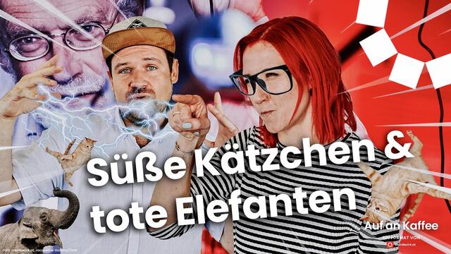 Foto: Wochenzeitungs GmbH Steiermark
