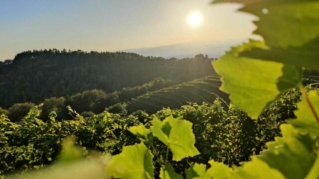 Foto: Patricia Reiterer
